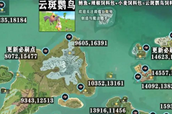 创造与魔法云斑鹦鸟怎么抓 所有刷新点坐标一览