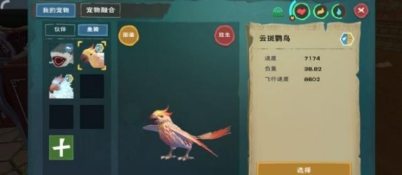 创造与魔法云斑鹦鸟饲料