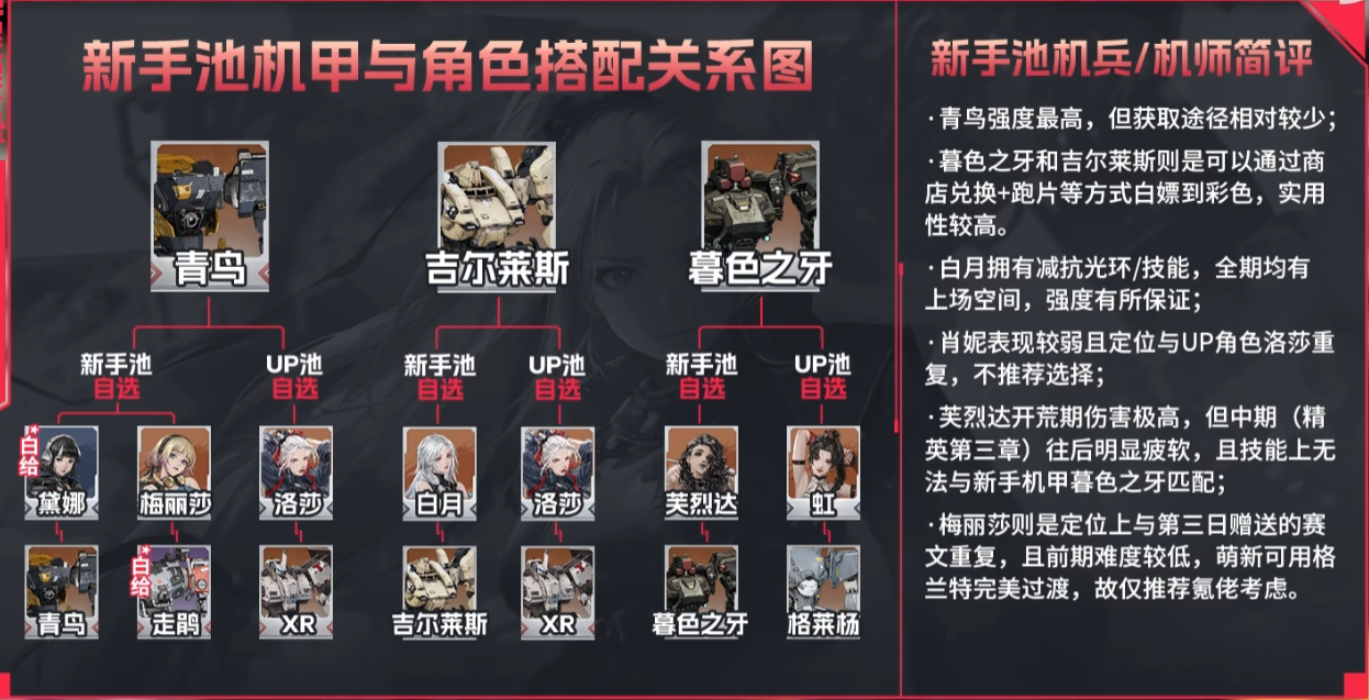 钢岚阵容推荐