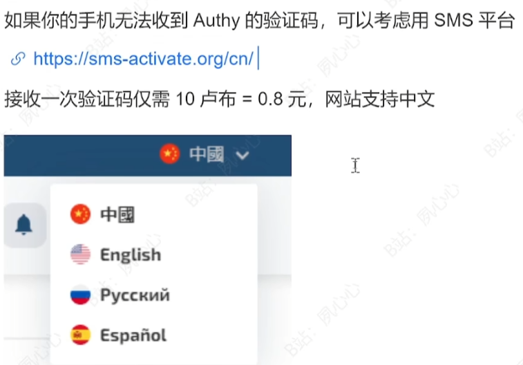 夜鸦国际服人机验证